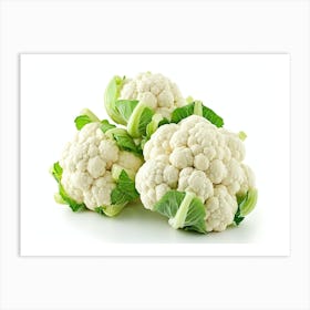 Cauliflower 7 Art Print