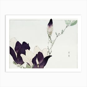 Purple Magnolia Illustration From Bijutsu Sekai (1893 1896), Watanabe Seitei Art Print
