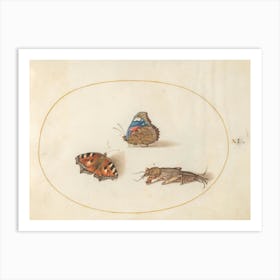 Two Butterflies and a Mole Cricket, (c. 1575-1580), Joris Hoefnagel Art Print