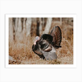 Thanksgiving Turkey Art Print