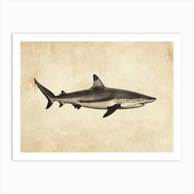 Lemon Shark Silhouette 3 Art Print