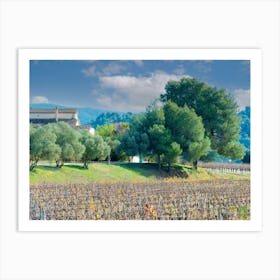 Vineyards In A Vineyard 20211128 198rt1ppub Art Print