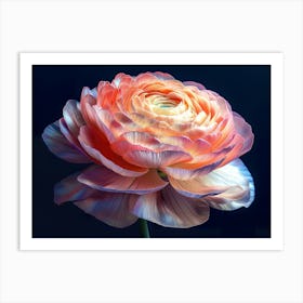 Peony Flower 12 Art Print