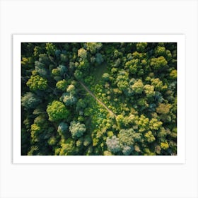 Aerial View Capturing The Vibrant Canvas Of A Lush Green Forest In Springtime Canopy Of Dense Reju (6) Art Print