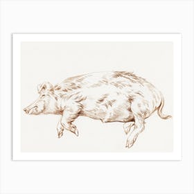 Lying Pig (1812), 1, Jean Bernard Art Print