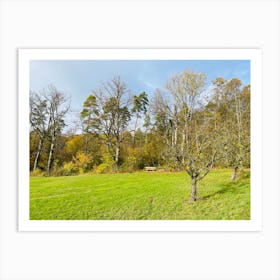 Field With Trees 8 Art Print