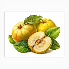 Two Whole Quinces And A Quince Half Art Print