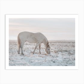 Horse In Winter Field Art Print