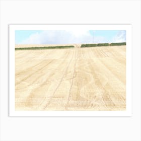 Barley field , Fife 11603 Art Print