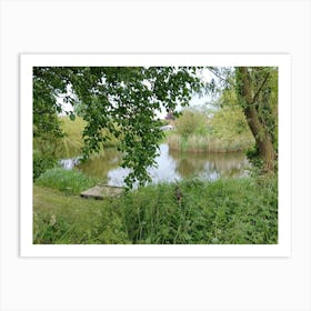 Pond In The Woods Art Print