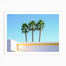 3 Palmtrees in the blue sky // Ibiza Nature & Travel Photography Art Print