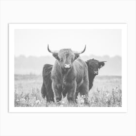 Shaggy Cow In Field Art Print