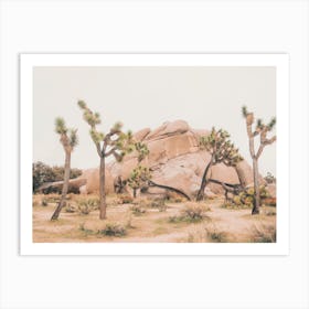Desert Landscape Art Print