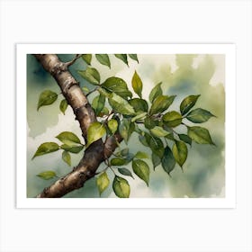 Watercolor Of A Tree Branch Art Print