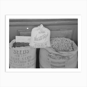 Cane, Corn And Cotton Seed Displayed For Sale For Seed Purposes, These Are The Main Crops Of San Augustine Art Print