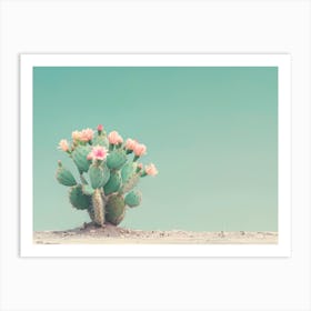 California Dreaming - Cactus Flowers Art Print