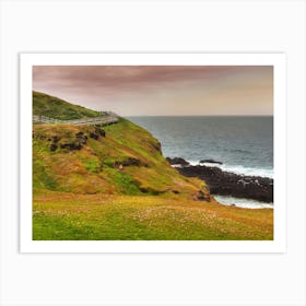 Australian coast 3 Art Print