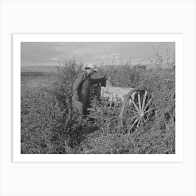 Farmer Who Has No Shed Facilities For Storing Machinery, Yakima County, Washington, He Rents From Indians By Art Print