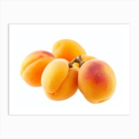 Apricots 5 Art Print