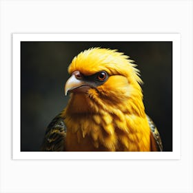 Yellow eagle Art Print