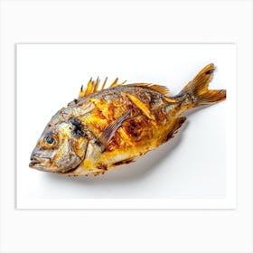 Grilled Fish 3 Art Print