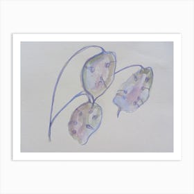 Seedpod Violet Soft  Art Print