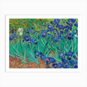 Irises In The Garden Art Print