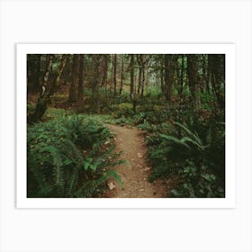 Happy Trails Art Print