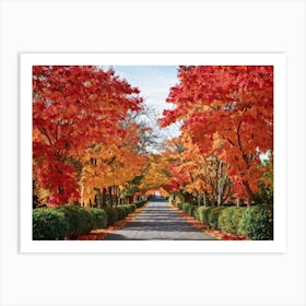 Autumn Foliage Comes Alive In This Design Leaves Flaunting A Riot Of Colors Including Crimson Verm (5) Art Print