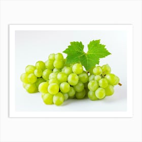 Grapes On White Background Art Print