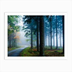 Road In The Forest Poster