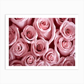 Pink Roses 4 Art Print