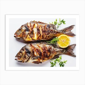 Two Grilled Fish On White Background 1 Art Print