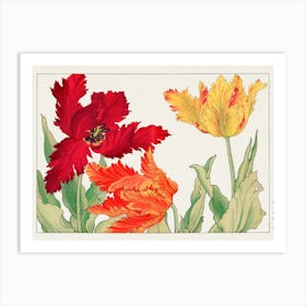 Tulips 1 Art Print