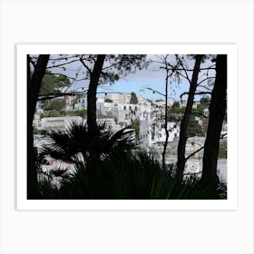 Capri Pinery - Anton Maliar art photo Italy Italian photography travel Art Print