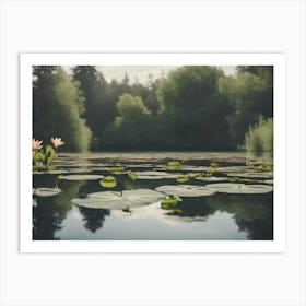 Lily Pads In A Pond Art Print