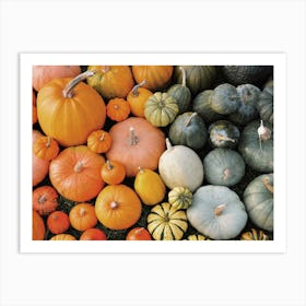 Pumpkins And Squash Art Print