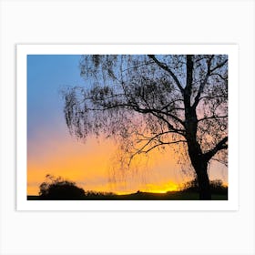 Sunset With A Tree 1 Art Print