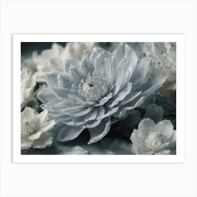 White Flowers In The Snow Art Print