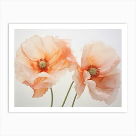 Poppies 3 Art Print