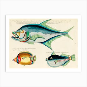 Colourful And Surreal Illustrations Of Fishes Found In Moluccas (Indonesia) And The East Indies, Louis Renard(94) Art Print
