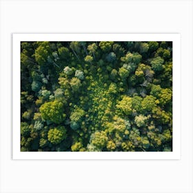 Aerial View Capturing The Vibrant Canvas Of A Lush Green Forest In Springtime Canopy Of Dense Reju Art Print