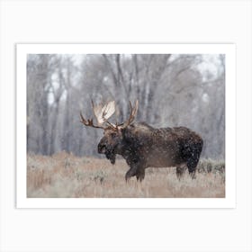 Cold Autumn Day Moose Art Print