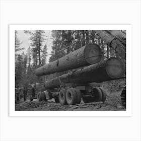 Grant County, Oregon, Malheur National Forest, Loading Logs Onto Trucks By Russell Lee Art Print