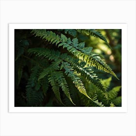 fern leaf 2 Art Print