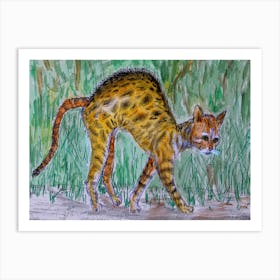 Cats Have Fun Unexpected Meeting On A Walk Art Print