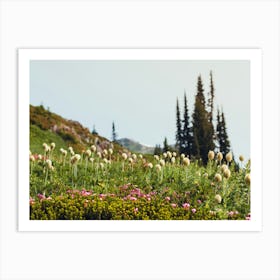 Summer Wildflowers In The Mountains Art Print