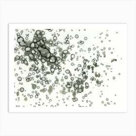 Gray Raindrops Art Print