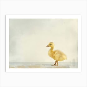 Duckling Kids and Nursery Art Print