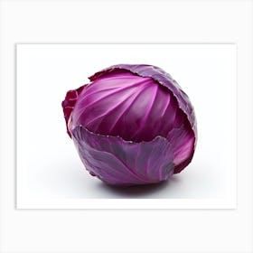 Red Cabbage (7) Art Print